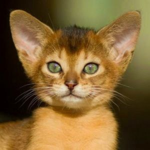 Meet your Posher, Beth